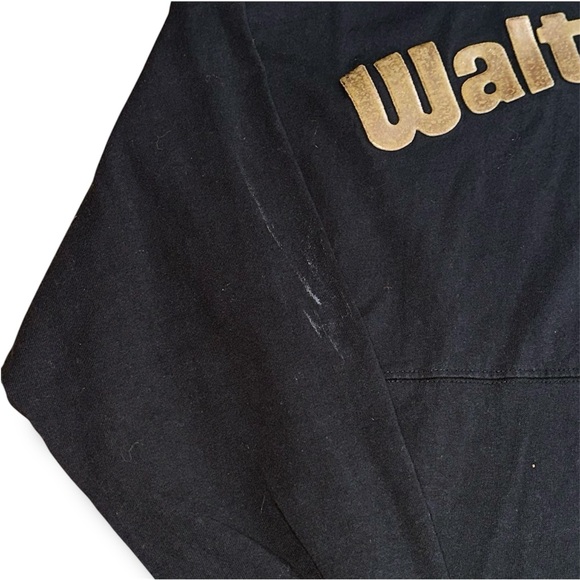 Men’s Disney Walt Disney World Spirit Jersey - Picture 7 of 7